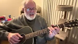 “Can’t Help Falling In Love” by Elvis Presley (cover song)