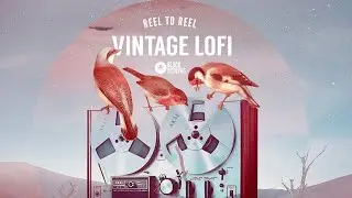Lofi With 100% Live Instruments - Meet The Producer