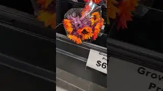 HOME DEPOT 2707S Towne Ave, Pomona,CA Pt2 FLOWER SALE#flowers #sale #deals #orchid #savings #thrift