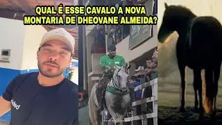 WESLEY SAFADÃO COMPROU UM GARANHÃO PARA DHEOVANE ALMEIDA