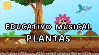 Musica Infantil / Educativo Como Nascem as Plantas