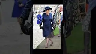 Queen Camilla top 10 most Expensive Royal looks