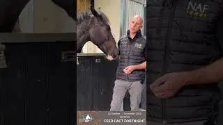 BETA Feed Fact Fortnight Осень 2025