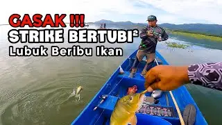 GASAK, STRIKE BERTUBI TUBI Di Lubuk Beribu Ikan‼️- EP423