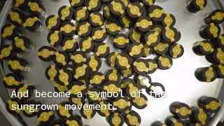 The Evolution of Flow Kana into FK+. The importance of Sungrown