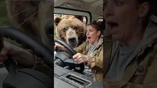 A woman saves a bear cub and earns its mother's gratitude.