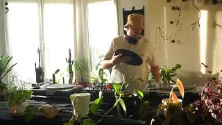 [Point ; Virgule] Home Session #01 : Fidelio