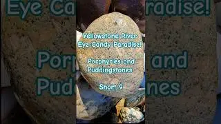 Yellowstone River Rock Collector's Eye Candy Paradise! Porphyry and Puddingstone Rock Garden 9