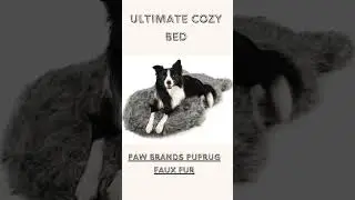 Ultimate Dog Bed Guide: Top 10 Orthopedic Dog Beds for Comfort & Support 🐶👑