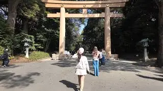 Meiji Jingu, Harajuku, Omotesando March 17, 2024