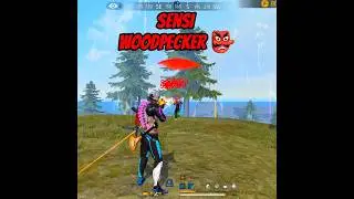 SENSIBILIDAD PARA LA WOODPECKER 👺