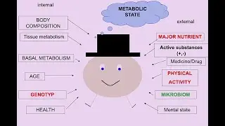 PLURIGENOMICS: NUTRI- TOXICO-, PHARMACOGENOMICS AND THE EPIGENETICS