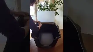 PeePeeShield & Litter Shield- A cat litter box accessory. www.peepeeshield.net