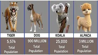Animal Populations Comparison | World Animal Population | Data Rivalry