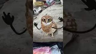 Ullu Trending Video | #heenaprajapati #shorts #viral