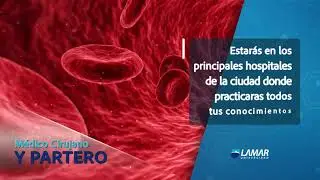 Licenciatura en M&eacute;dico Cirujano y Partero - Universidad Lamar
