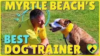 Best Dog Training in Myrtle Beach | Life-Changing Results with Oliver