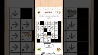Brain Test All-Star: IQ Boost Master Level 15