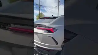 Lamborghini Urus *INSANE REV #lamborghini #urus #cars