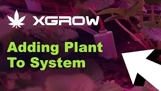 Xgrow 4: Configuring New Plant