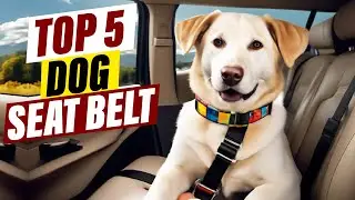 Best Dog Seat Belts: Keep Your Furry Friend Safe on the Road