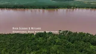 Inside a 976-Acre Mississippi River Island Few Will Ever Own