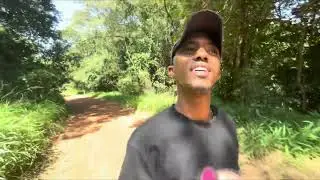 The biggest forest in kenya 