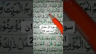 Tajweed E Quran #tajweed #onlinequranclass #trending #islamicstudy #islamicstatus #islamic #foryou