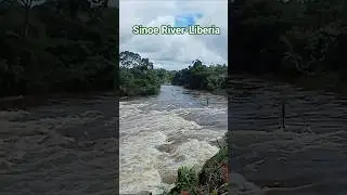 Sinoe River-Liberia #liberiavlog #river #nature