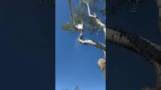 Failed rigging point. Watch till the end.