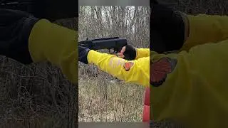 Umarex HDB .68 Cal Paintball Shotgun #shorts #shooting #sports