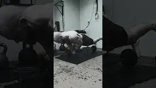 #pushups #power #calisthenics #motivation #gym #штанга #баланс #отжимания #тренировка