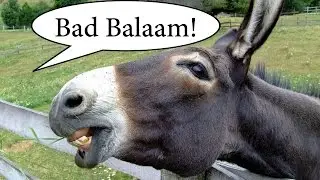 Error of Balaam Explained