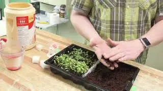 Living Water Farm- Fogo Island