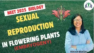 Chapter 1/ Sexual Reproduction in Flowering Plants/ EMBRYOGENY