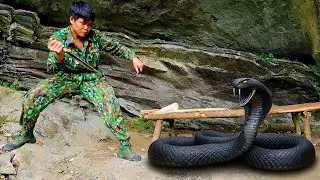 Survival Alone in the Wild | Setting Traps, Building Shelters & Facing Dangerous Reptiles