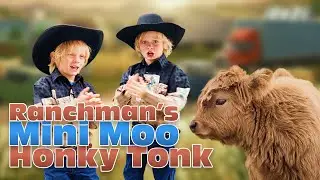 Mini Highland Cows Take Over Ranchman&rsquo;s Honky-Tonk 🤠🐮 |  Calgary Stampede