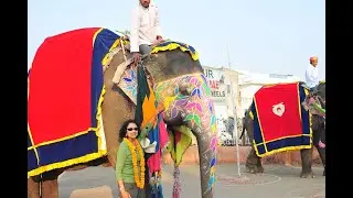 PALACE ON WHEELS 2009
