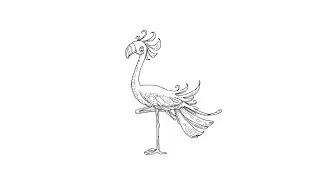 تعلم رسم الديك الرومي learn drawing turkey