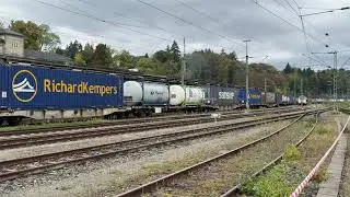 SBB Cargo International 193 541 com mercadorias - Rottweil