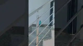 Ss square pipe railing jaipur.. #steel #home #squarepipe #interiordesign #shorts #youtube #furniture