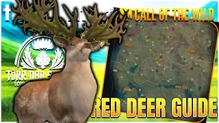 Ultimate Red Deer Great One Guide on the NEW Scotland Map!