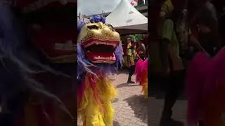 Northern lion wanna bite me