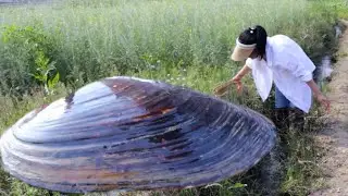 The encounter of Pearl Girl turned into an epic mission, and the clam shell opened a pearl kingdom