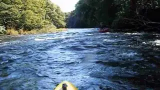 Motley Crew on the Teith
