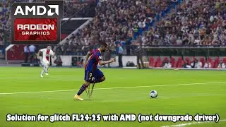 Solution for glitch FL24-25 with AMD (not downgrade driver)