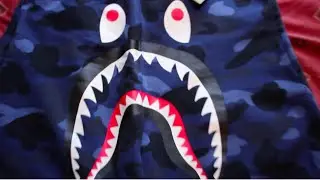 Bape Shark Sweat Shorts Review