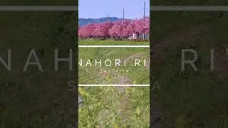 #tokyostreetview en #Twitch | hola