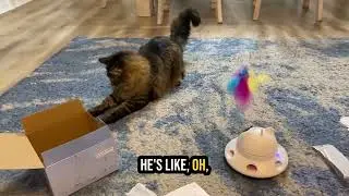Is Cat Laser Toy,3-in-1Interactive Cat Toys with 360° Random Laser & Interactive Feather worth it?