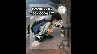 {туториал на свои обои в тг}🧸🌷☁ подпишись🎀#токабока #капкут #туториал #обои #обучение